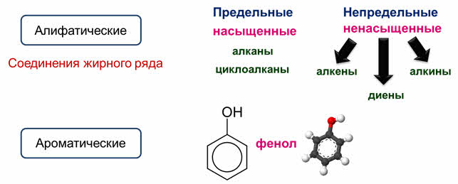 Некоторое органическое вещество