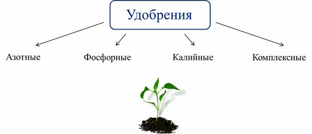 К азотным удобрениям относят