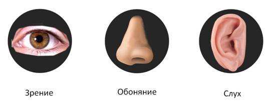 Что значит качественная реакция. Смотреть фото Что значит качественная реакция. Смотреть картинку Что значит качественная реакция. Картинка про Что значит качественная реакция. Фото Что значит качественная реакция