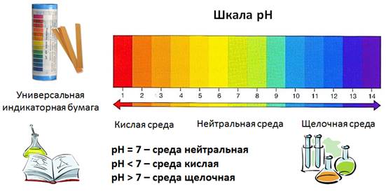 Что такое кислоты в химии 8 класс. Смотреть фото Что такое кислоты в химии 8 класс. Смотреть картинку Что такое кислоты в химии 8 класс. Картинка про Что такое кислоты в химии 8 класс. Фото Что такое кислоты в химии 8 класс