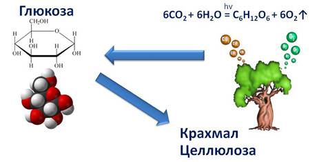 Молекулярная масса органических веществ гораздо меньше чем неорганических да или нет. Смотреть фото Молекулярная масса органических веществ гораздо меньше чем неорганических да или нет. Смотреть картинку Молекулярная масса органических веществ гораздо меньше чем неорганических да или нет. Картинка про Молекулярная масса органических веществ гораздо меньше чем неорганических да или нет. Фото Молекулярная масса органических веществ гораздо меньше чем неорганических да или нет