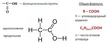 Функциональная группа соон присутствует в молекуле. Общая формула одноосновных карбоновых кислот. Функциональная группа сложных эфиров формула. Сложные эфиры предельных одноосновных кислот.