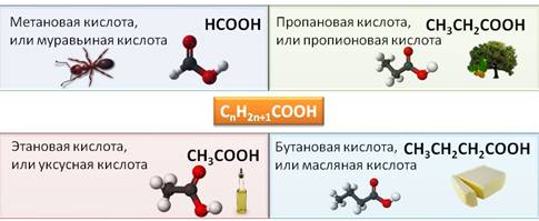 Метановая кислота вода. Сложный эфир муравьиной кислоты. Метановая этановая пропановая кислота. Муравьиная или метановая кислота. Метановая и пропионовая кислоты.