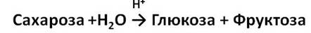 Углеводы »