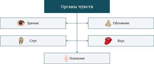 Что такое понятность в информатике кратко. Смотреть фото Что такое понятность в информатике кратко. Смотреть картинку Что такое понятность в информатике кратко. Картинка про Что такое понятность в информатике кратко. Фото Что такое понятность в информатике кратко