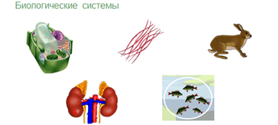 видеоурок что такое система. Смотреть фото видеоурок что такое система. Смотреть картинку видеоурок что такое система. Картинка про видеоурок что такое система. Фото видеоурок что такое система