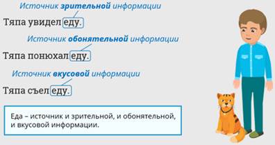 Что называют источником информации