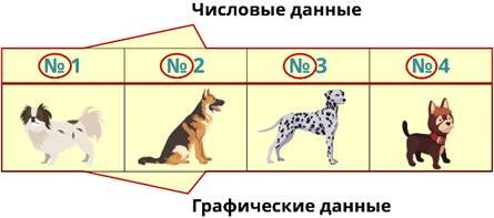 Что относится к числовой информации