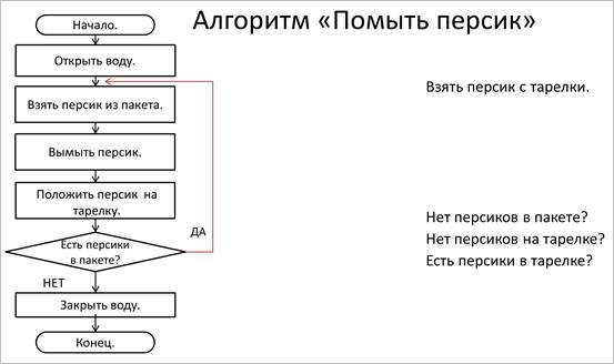 Расставь команды на схеме алгоритма помой персики