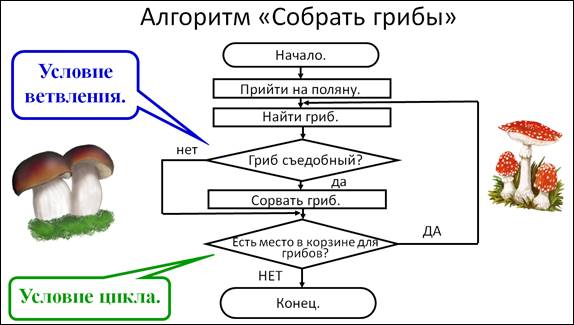 Летом в лесу приятно пахнет грибами схема