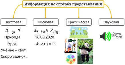 При помощи чего человек получает информацию