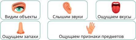 Что такое получение информации в информатике 4 класс. Смотреть фото Что такое получение информации в информатике 4 класс. Смотреть картинку Что такое получение информации в информатике 4 класс. Картинка про Что такое получение информации в информатике 4 класс. Фото Что такое получение информации в информатике 4 класс