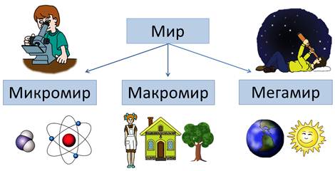 Презентация на тему микромир