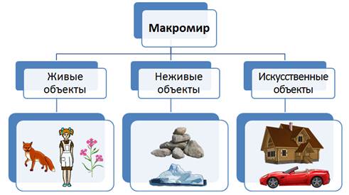 Отличия живых организмов от неживых объектов