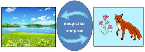 На основе чего строится целесообразное поведение живых организмов. Смотреть фото На основе чего строится целесообразное поведение живых организмов. Смотреть картинку На основе чего строится целесообразное поведение живых организмов. Картинка про На основе чего строится целесообразное поведение живых организмов. Фото На основе чего строится целесообразное поведение живых организмов