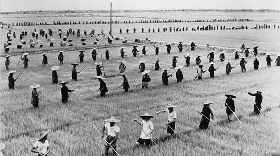 В чем заключается специфика китайского социализма. image007. В чем заключается специфика китайского социализма фото. В чем заключается специфика китайского социализма-image007. картинка В чем заключается специфика китайского социализма. картинка image007