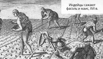 назовите причины начала войны за независимость в латинской америке каким были ее ход и результаты. Смотреть фото назовите причины начала войны за независимость в латинской америке каким были ее ход и результаты. Смотреть картинку назовите причины начала войны за независимость в латинской америке каким были ее ход и результаты. Картинка про назовите причины начала войны за независимость в латинской америке каким были ее ход и результаты. Фото назовите причины начала войны за независимость в латинской америке каким были ее ход и результаты