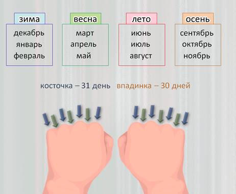 Сколько месяцев в нолу. Дни в месяцах по костяшкам. Дни в месяцах по костяшкам. 100 месяцев это сколько лет. Как считать количество дней в месяце по костяшкам.