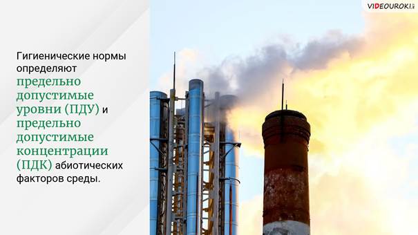 Что означает понятие управление безопасностью жизнедеятельности человека в среде обитания обж. Смотреть фото Что означает понятие управление безопасностью жизнедеятельности человека в среде обитания обж. Смотреть картинку Что означает понятие управление безопасностью жизнедеятельности человека в среде обитания обж. Картинка про Что означает понятие управление безопасностью жизнедеятельности человека в среде обитания обж. Фото Что означает понятие управление безопасностью жизнедеятельности человека в среде обитания обж