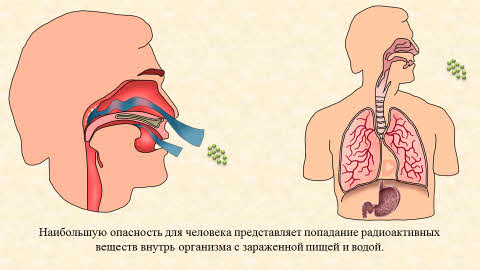 Что такое доза облучения обж. Смотреть фото Что такое доза облучения обж. Смотреть картинку Что такое доза облучения обж. Картинка про Что такое доза облучения обж. Фото Что такое доза облучения обж