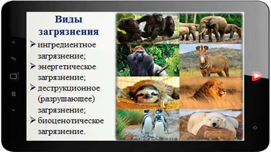 Что такое биосфера обж. Смотреть фото Что такое биосфера обж. Смотреть картинку Что такое биосфера обж. Картинка про Что такое биосфера обж. Фото Что такое биосфера обж