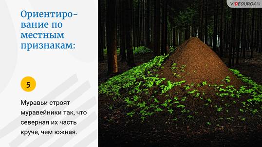 Турист не выходит на связь что делать. Турист не выходит на связь что делать фото. картинка Турист не выходит на связь что делать. смотреть фото Турист не выходит на связь что делать. смотреть картинку Турист не выходит на связь что делать.