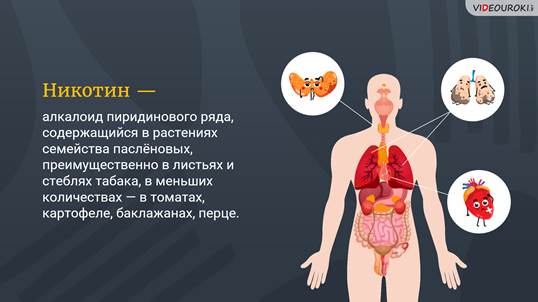 Чем опасен сигаретный дым обж 9 класс видеоурок. Смотреть фото Чем опасен сигаретный дым обж 9 класс видеоурок. Смотреть картинку Чем опасен сигаретный дым обж 9 класс видеоурок. Картинка про Чем опасен сигаретный дым обж 9 класс видеоурок. Фото Чем опасен сигаретный дым обж 9 класс видеоурок