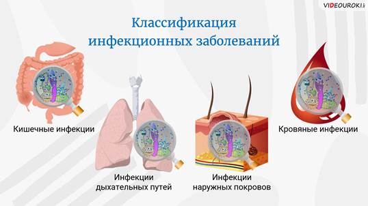 Что такое эпидемия обж. Смотреть фото Что такое эпидемия обж. Смотреть картинку Что такое эпидемия обж. Картинка про Что такое эпидемия обж. Фото Что такое эпидемия обж