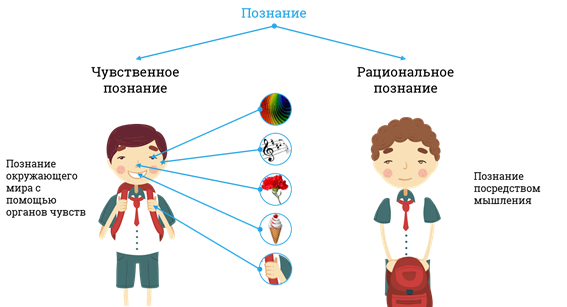 Форма познания с помощью органов чувств. Чувственное и рациональное познание картинки. Чувственное познание человека. Рациональное познание человека.