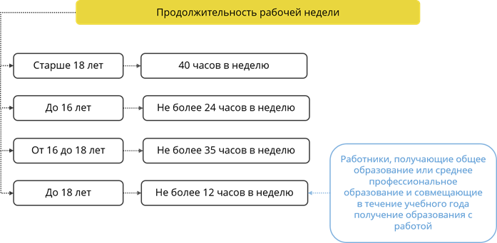 План труд несовершеннолетних егэ