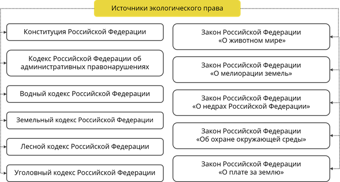 Право на благоприятную окружающую среду план егэ