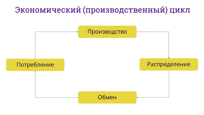 Разделение труда между работниками производства и торгового зала называется