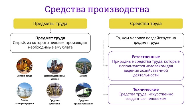 Разделение труда между работниками производства и торгового зала называется