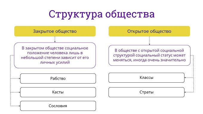 Тест 8 класс обществознание социальная структура общества