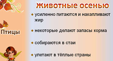 Примеры осенних явлений в неживой природе