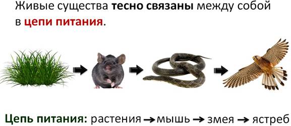 проект великий круговорот жизни. Смотреть фото проект великий круговорот жизни. Смотреть картинку проект великий круговорот жизни. Картинка про проект великий круговорот жизни. Фото проект великий круговорот жизни