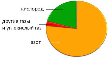 На диаграмме показан состав атмосферы планеты венера на сколько процентов азота меньше