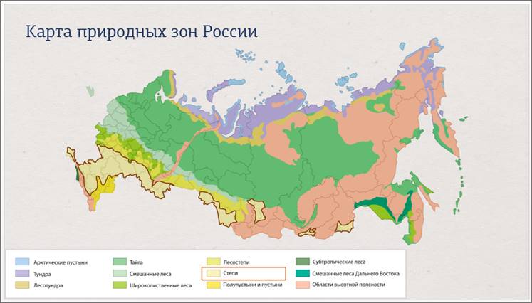 Презентация на тему природная зона степь