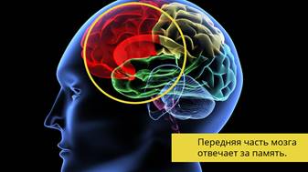 Для чего нужно изучать иностранные языки. Смотреть фото Для чего нужно изучать иностранные языки. Смотреть картинку Для чего нужно изучать иностранные языки. Картинка про Для чего нужно изучать иностранные языки. Фото Для чего нужно изучать иностранные языки