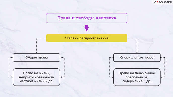 Права человека понятие сущность структура презентация