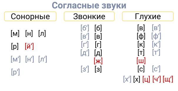 Различия в образовании звонких и глухих звуков