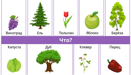 КТО ЧТО ВИДЕОУРОК 1 КЛАСС
