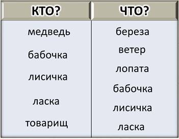 Существительное жук кто или что