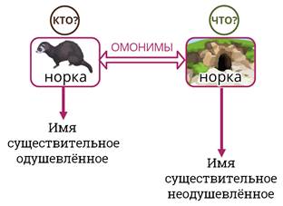 Прозевавшего что либо человека мы можем охарактеризовать этим существительным