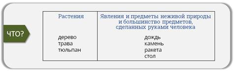 Прозевавшего что либо человека мы можем охарактеризовать этим существительным