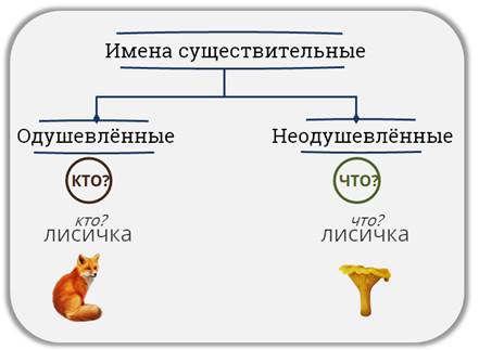 Прозевавшего что либо человека мы можем охарактеризовать этим существительным