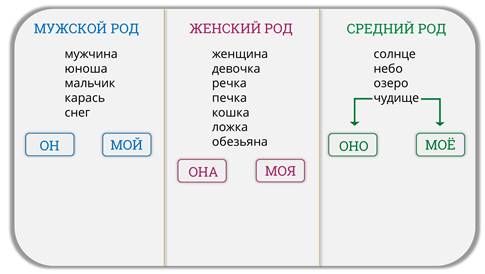 Соль мужской род