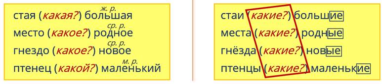 Что такое число имени прилагательного. Смотреть фото Что такое число имени прилагательного. Смотреть картинку Что такое число имени прилагательного. Картинка про Что такое число имени прилагательного. Фото Что такое число имени прилагательного