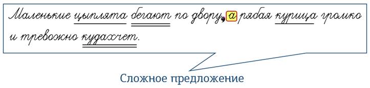 Что значит простые предложения в составе сложного