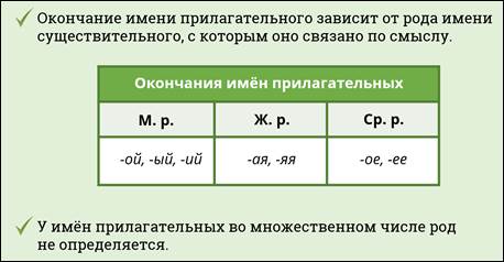 Что такое число имени прилагательного. Смотреть фото Что такое число имени прилагательного. Смотреть картинку Что такое число имени прилагательного. Картинка про Что такое число имени прилагательного. Фото Что такое число имени прилагательного